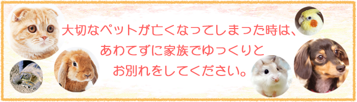 大切なペットが亡くなってしまった時は、あわてずに家族でゆっくりとお別れをしてください。